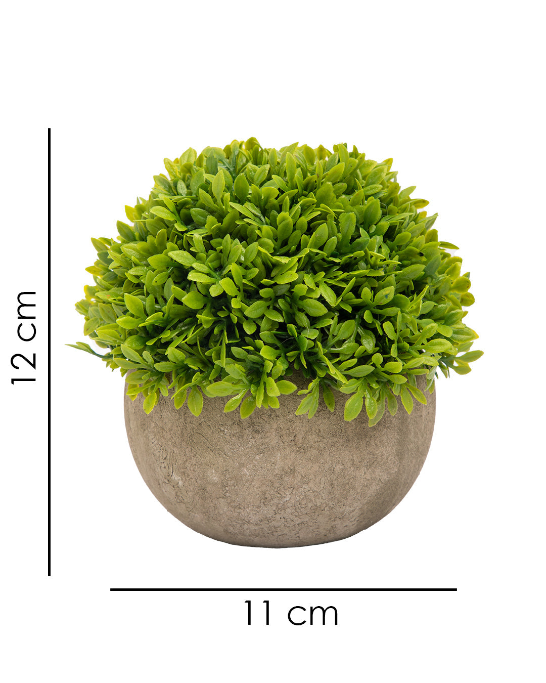 VON CASA Artificial Flower with Pot, Green, Plastic