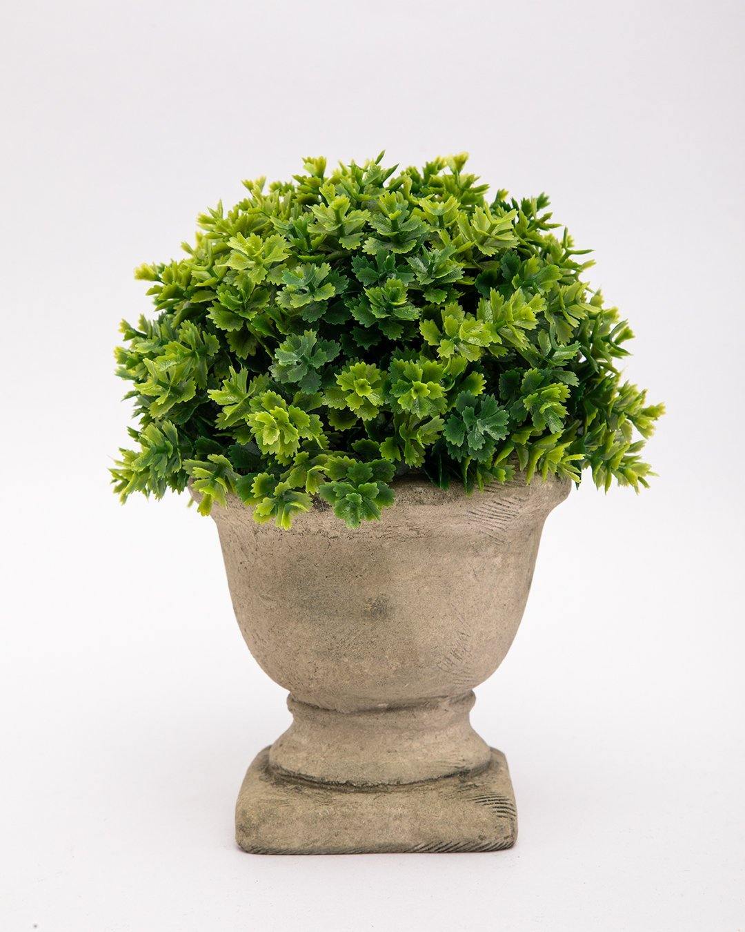 VON CASA Artificial Flower with Pot, Green, Plastic