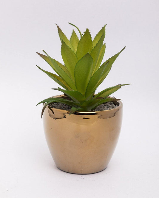 VON CASA Artificial Flower with Pot, Green, Plastic & Ceramic