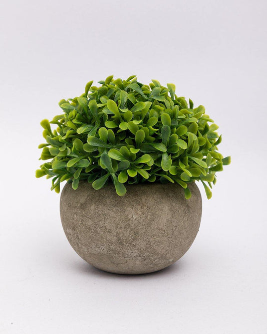 VON CASA Artificial Flower with Pot, Green, Plastic