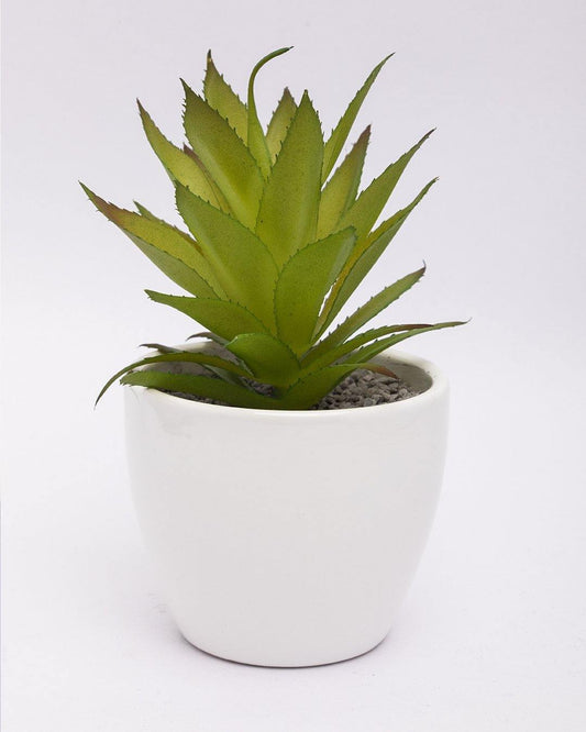 VON CASA Artificial Flower with Pot, Green, Plastic & Ceramic