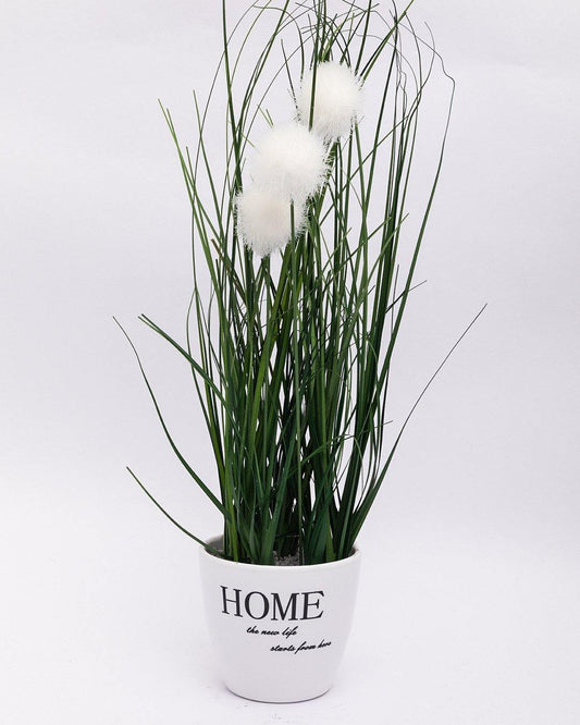 VON CASA Artificial Flower with Pot, Green, Plastic