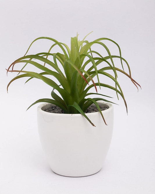 VON CASA Artificial Flower with Pot, Green, Plastic & Ceramic