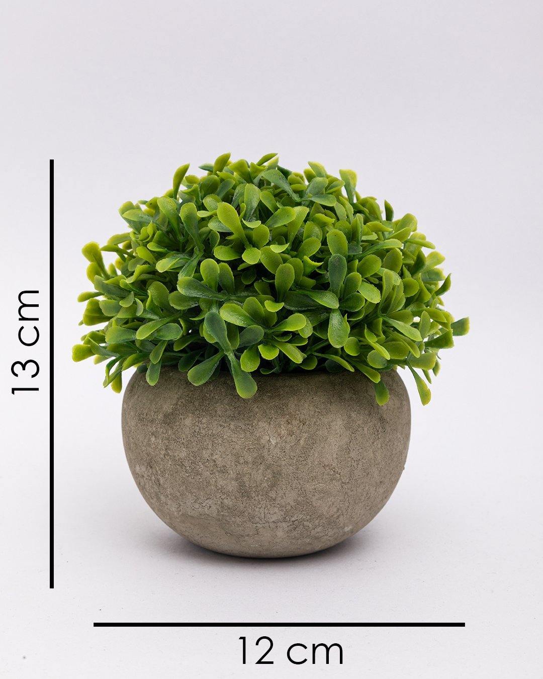 VON CASA Artificial Flower with Pot, Green, Plastic