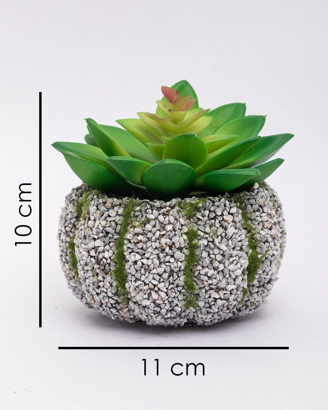 VON CASA Artificial Flower with Pot, Green, Plastic