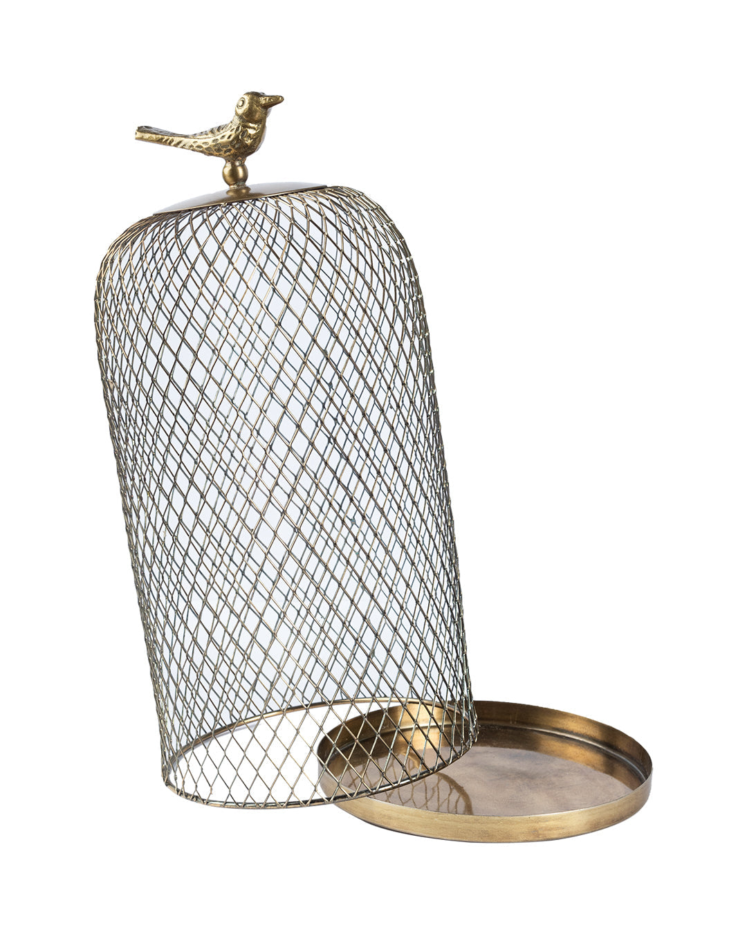VON CASA Metal Mesh Cloche, Mild Steel, Golden Colour, Set of 2