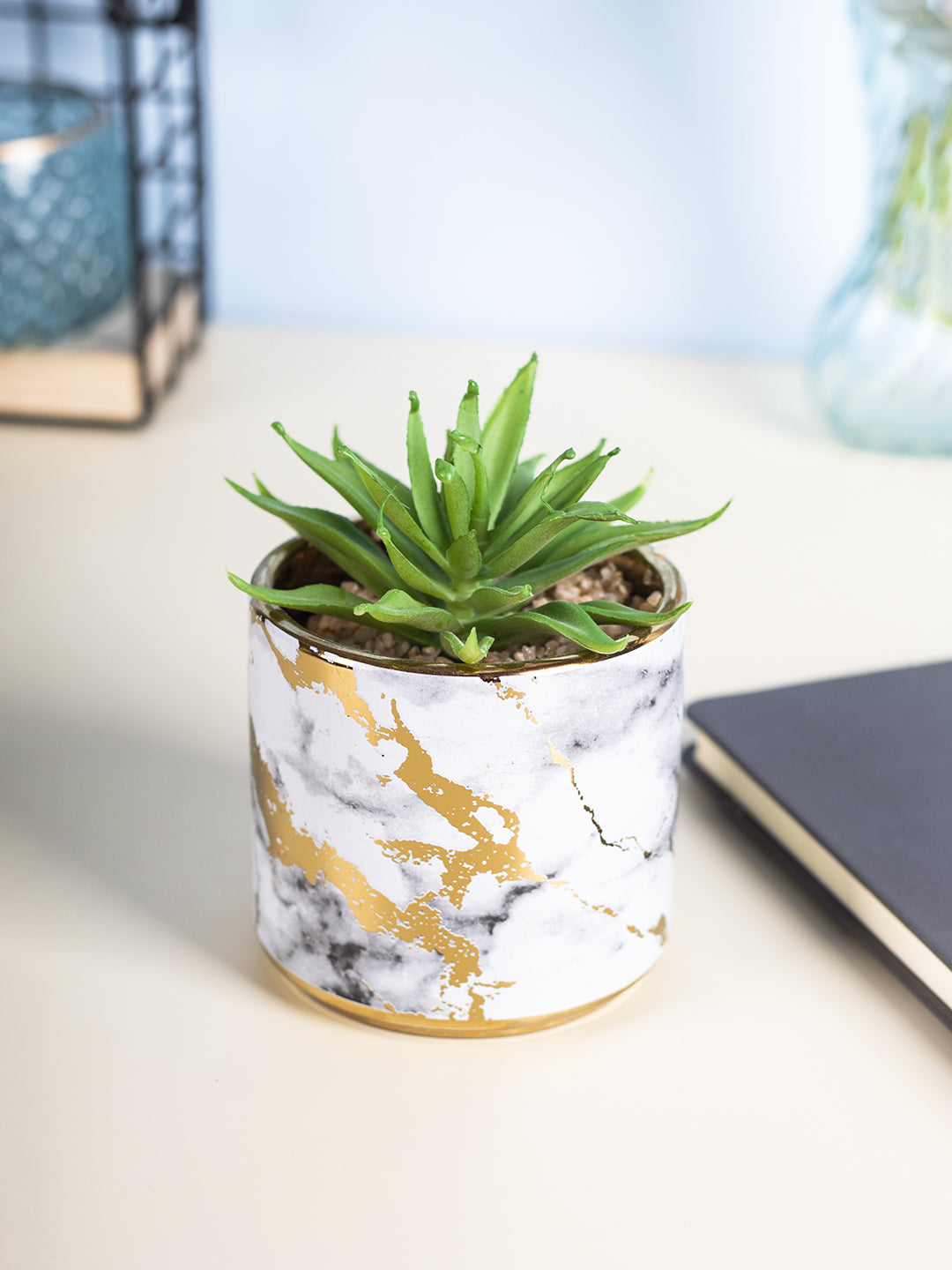 VON CASA Fake Aloevera Desktop Planter
