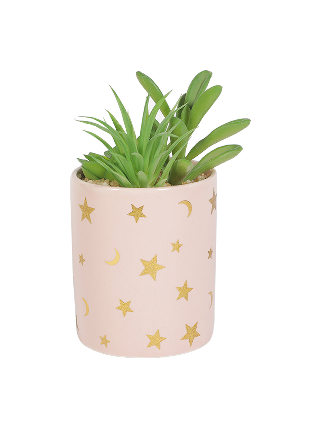 VON CASA Fake Aloevera Planter Pot - Pink