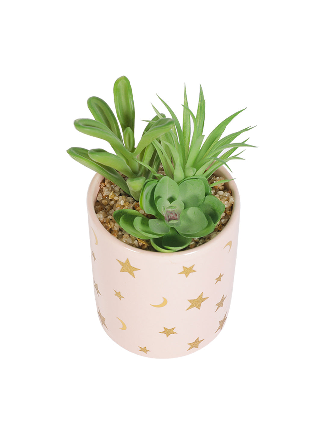 VON CASA Fake Aloevera Planter Pot - Pink
