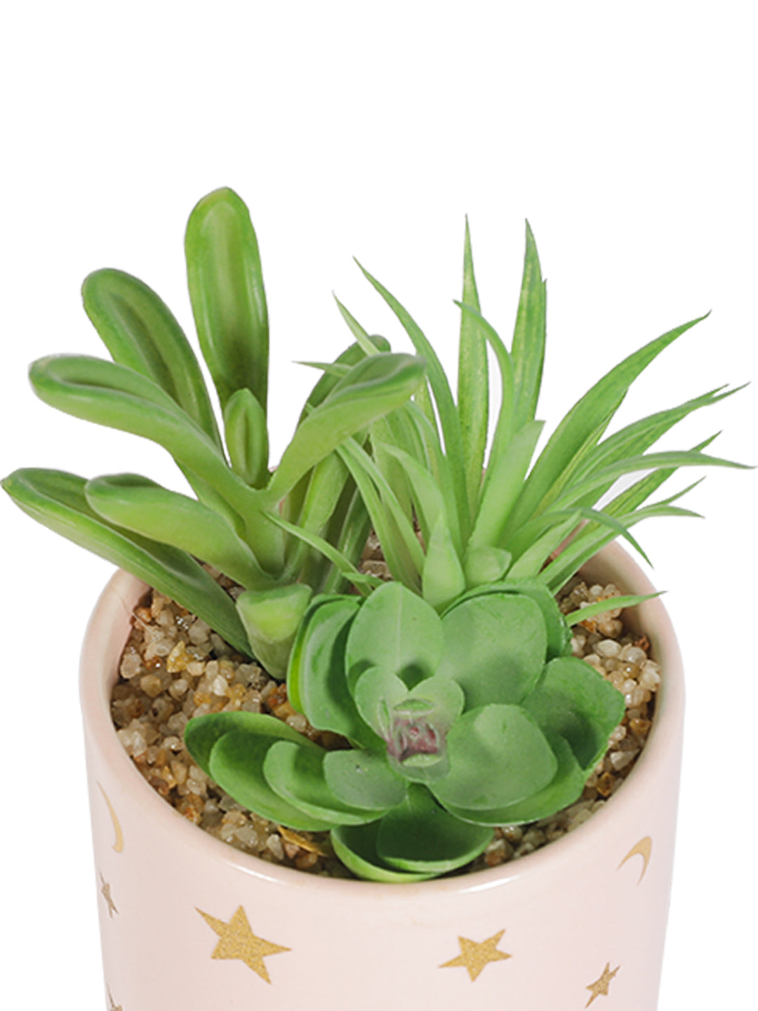 VON CASA Fake Aloevera Planter Pot - Pink