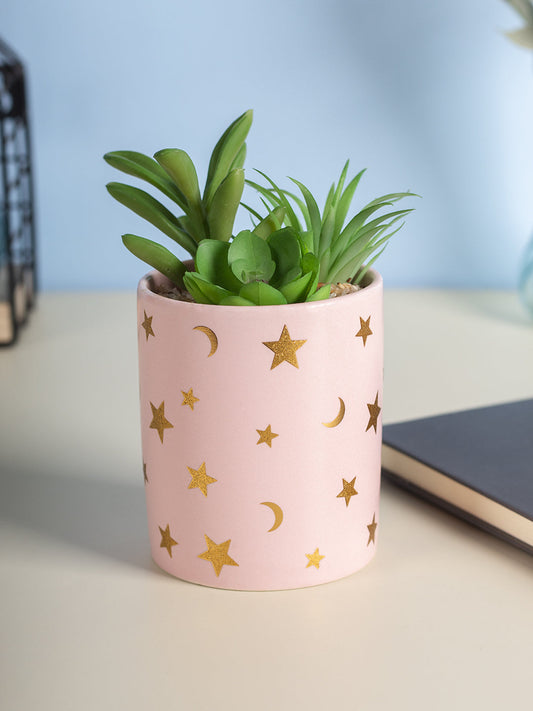 VON CASA Fake Aloevera Planter Pot - Pink