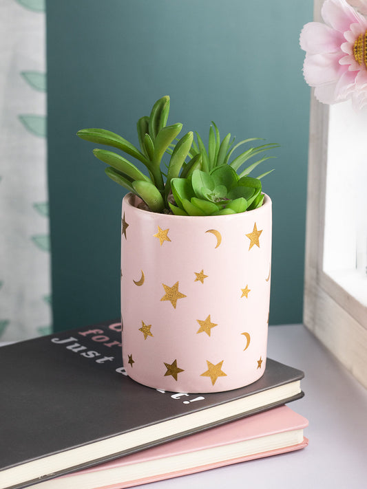 VON CASA Fake Aloevera Planter Pot - Pink
