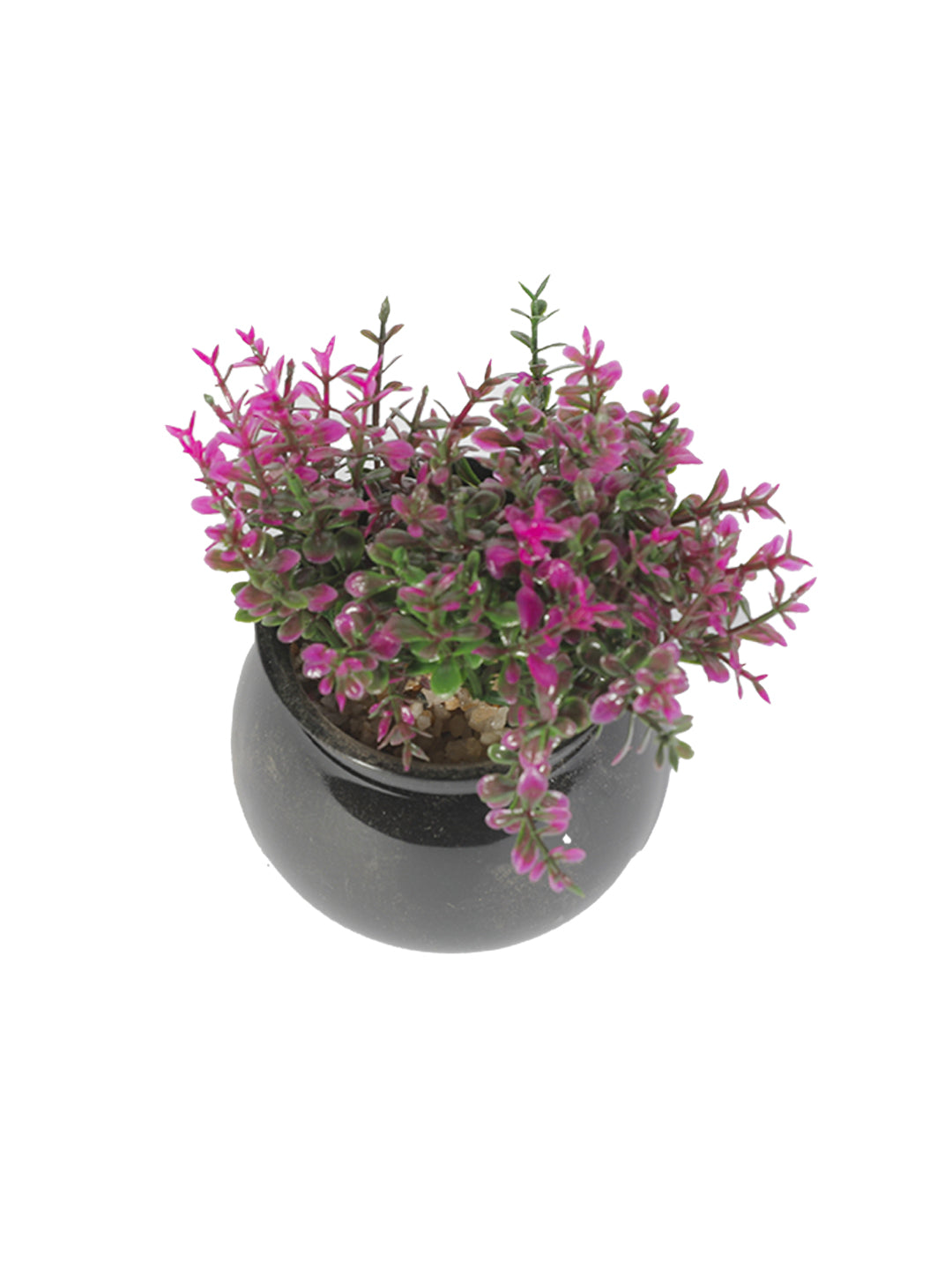 VON CASA Plastic Purple Flower With Pot - Black