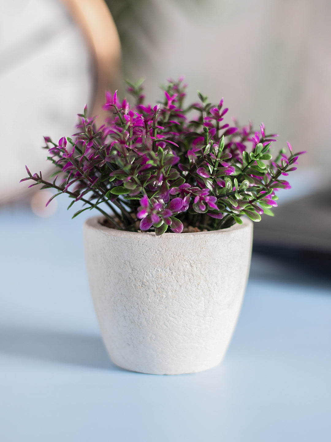 VON CASA Round Plastic small Leaf Pot - White