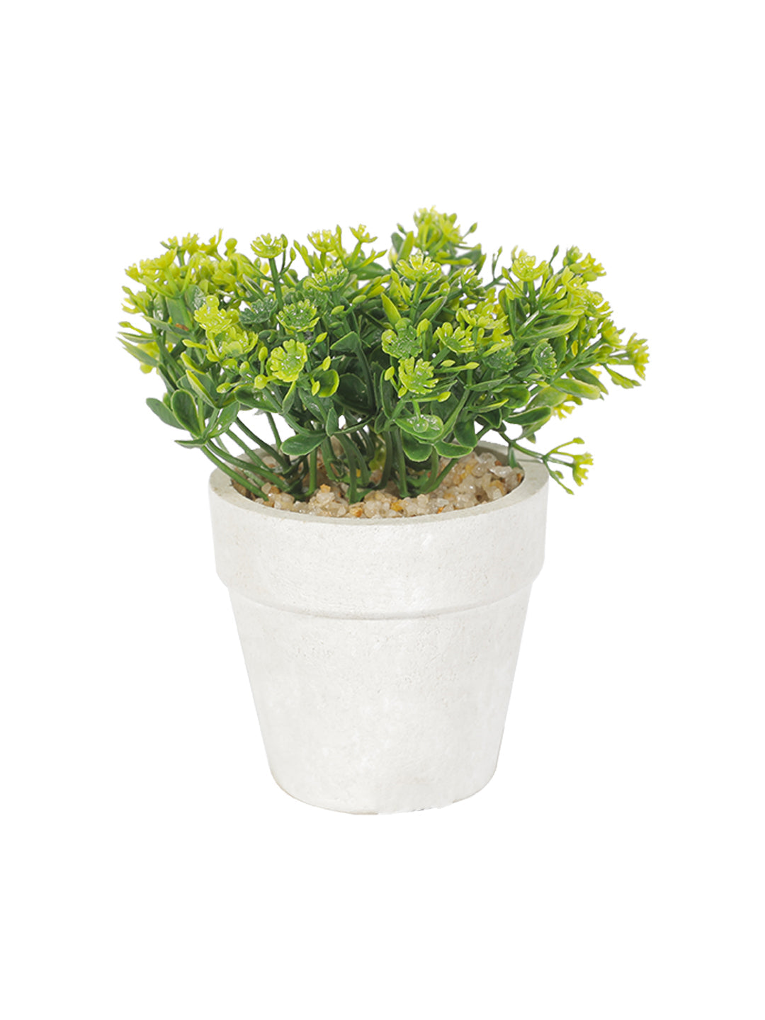 VON CASA Decor Bonsai Bush Planter White Pot