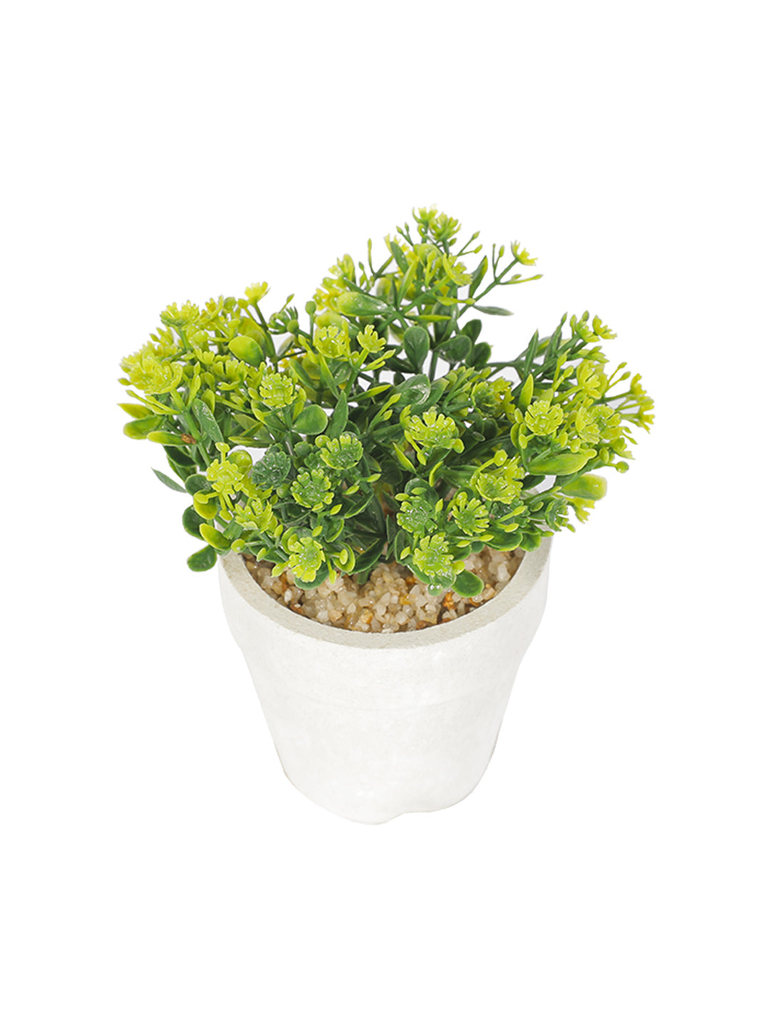 VON CASA Decor Bonsai Bush Planter White Pot