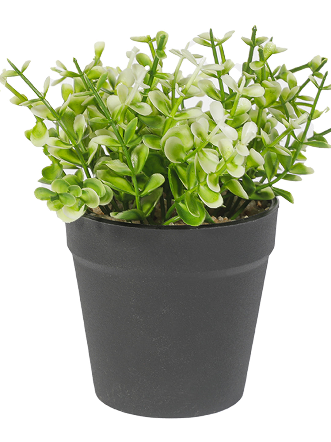 VON CASA Artificial White Flower Potted Plant - Black Pot