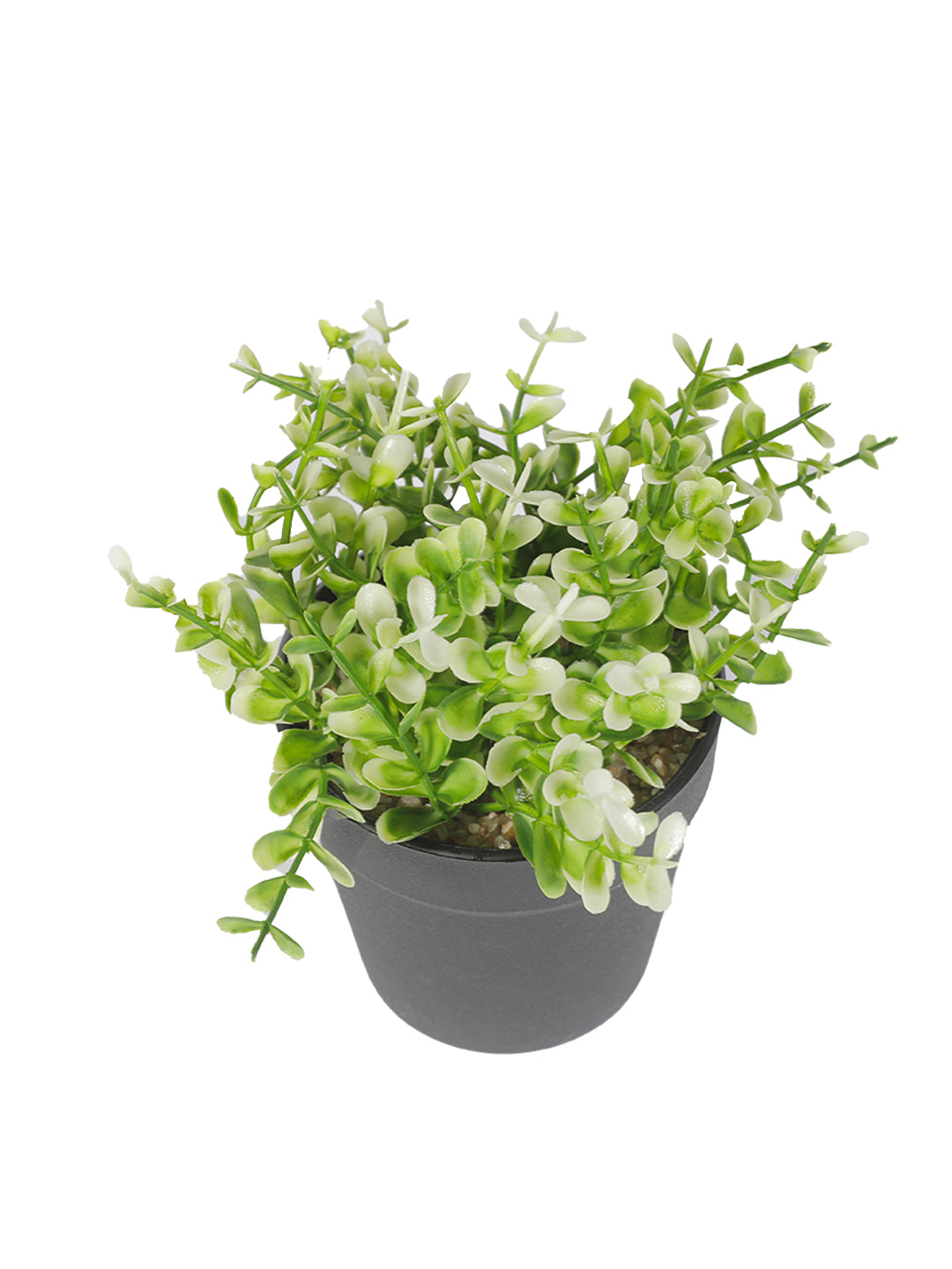VON CASA Artificial White Flower Potted Plant - Black Pot