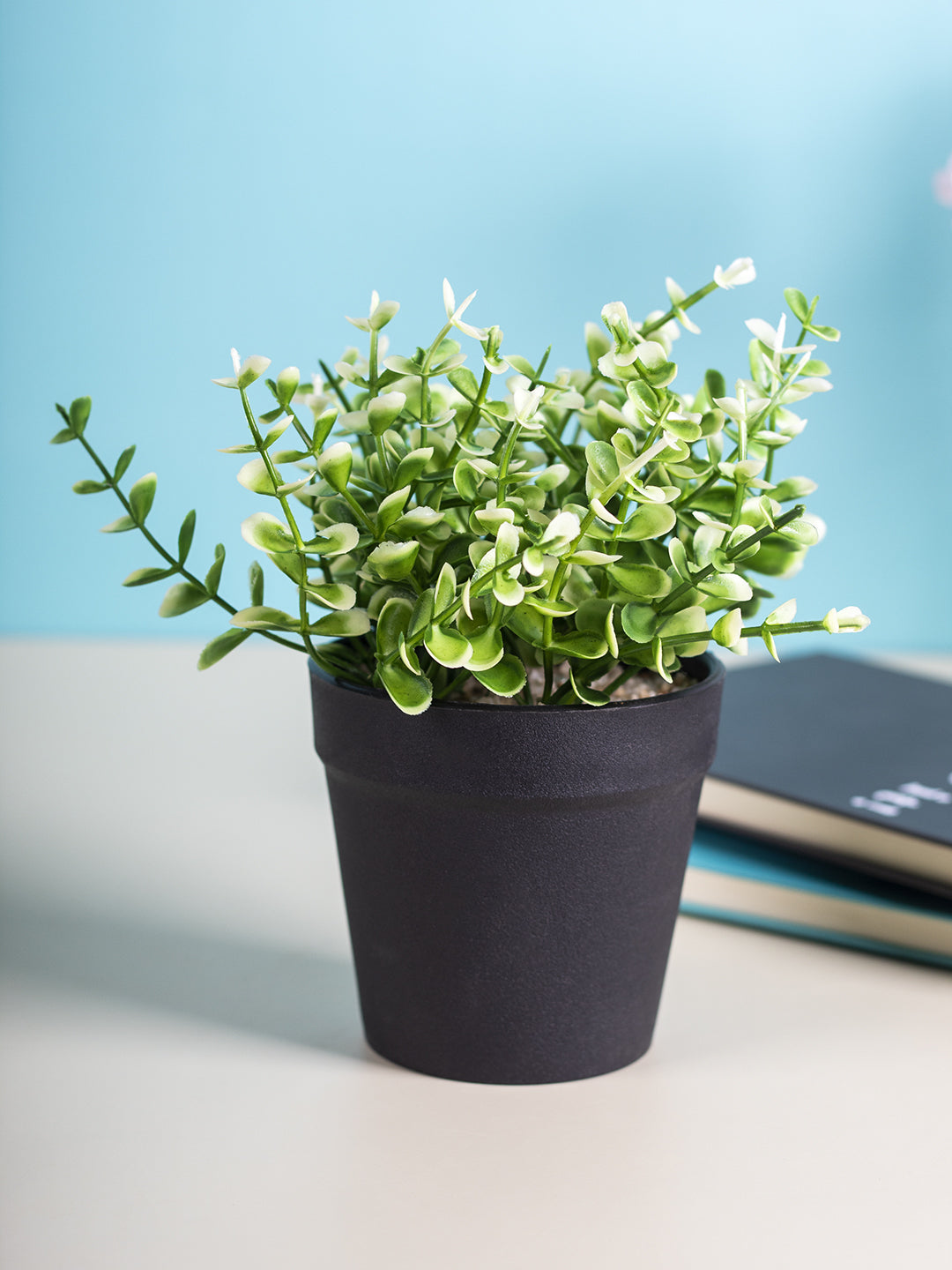 VON CASA Artificial White Flower Potted Plant - Black Pot