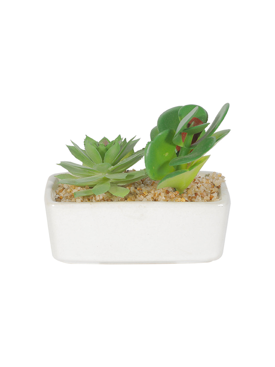 VON CASA Succulent Planters With White Flower Pot