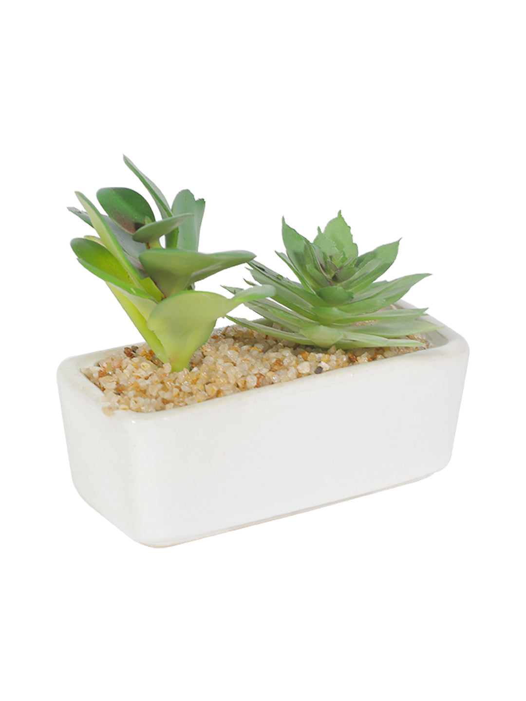 VON CASA Succulent Planters With White Flower Pot