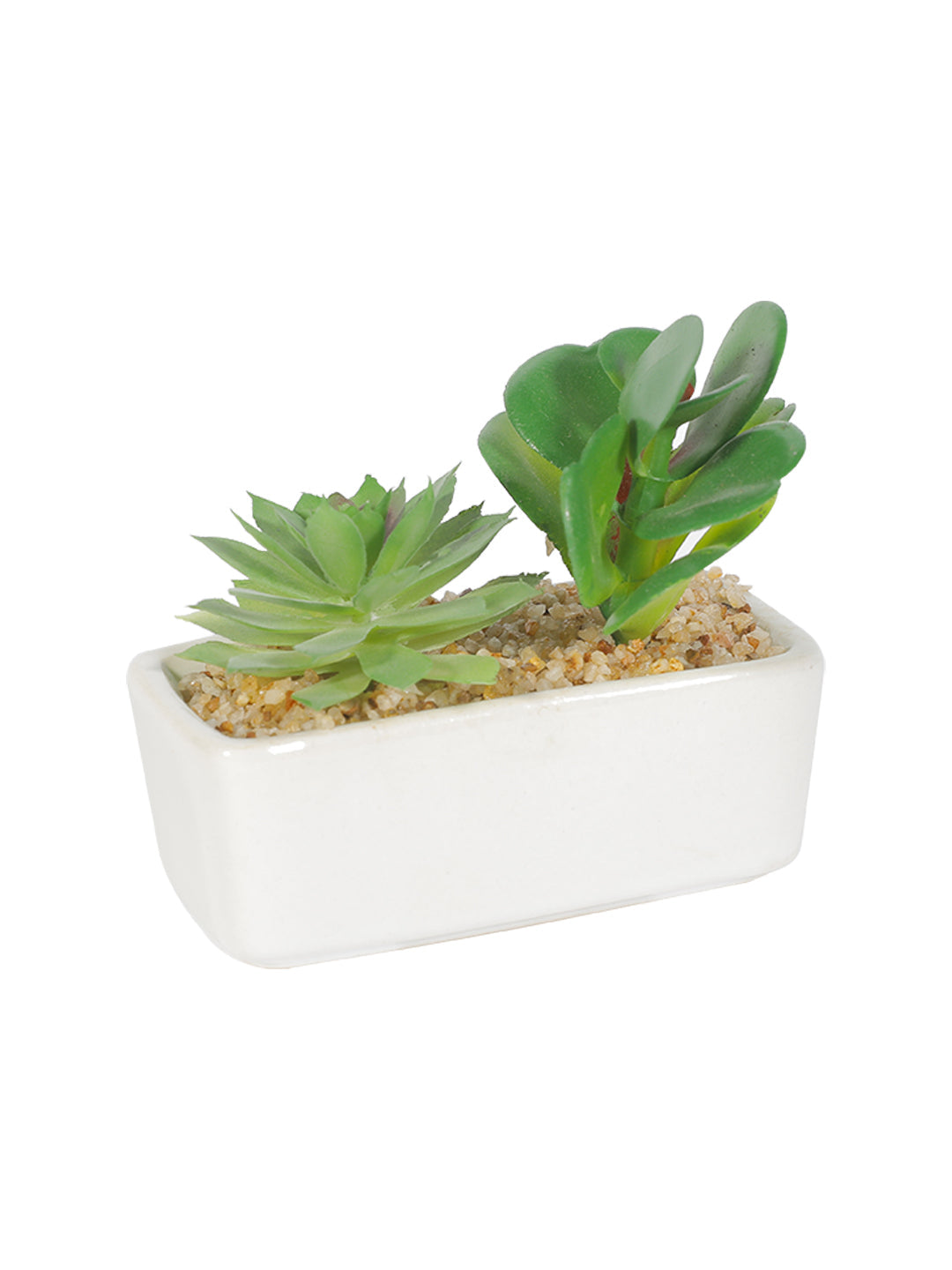 VON CASA Succulent Planters With White Flower Pot