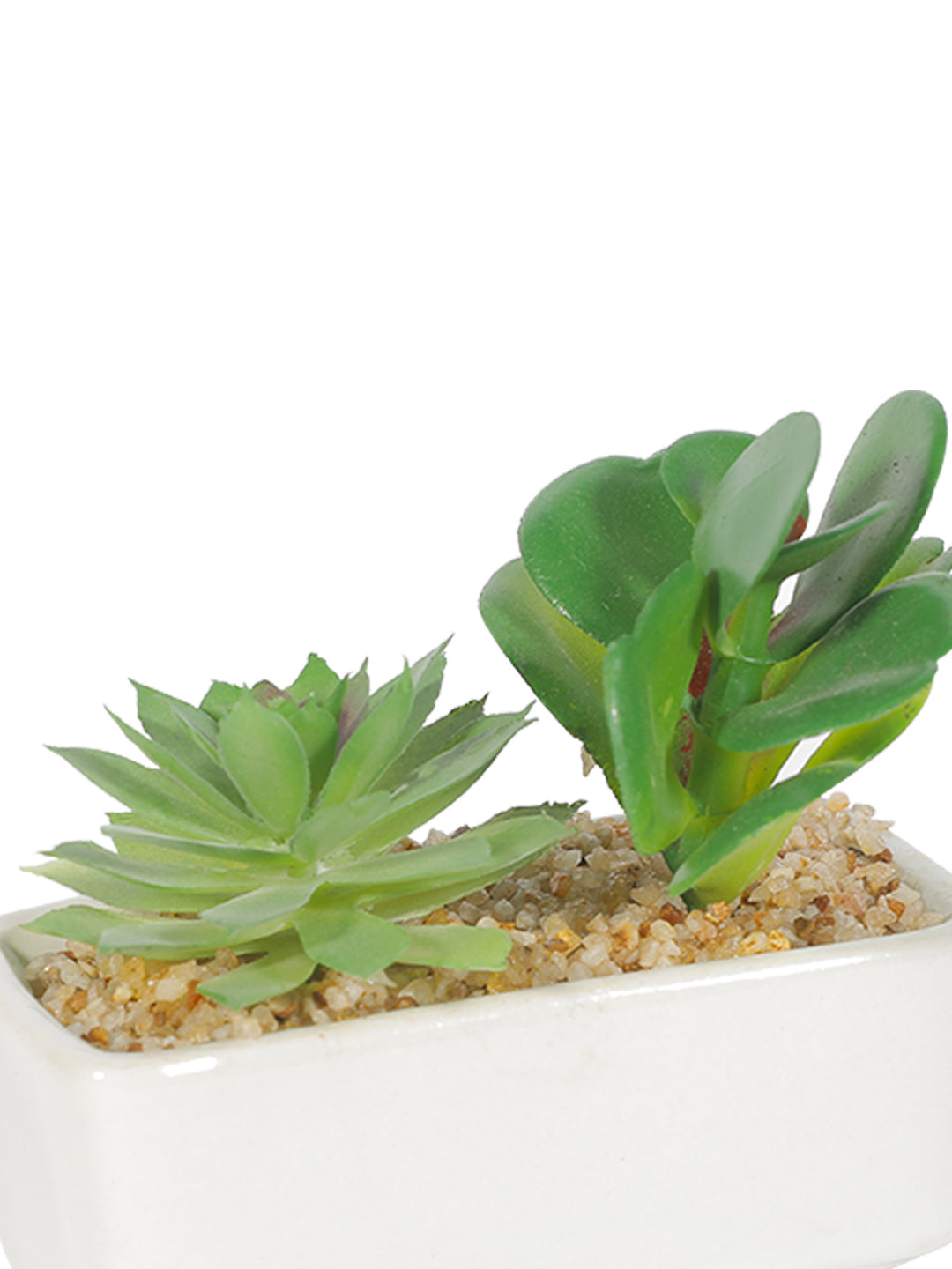 VON CASA Succulent Planters With White Flower Pot