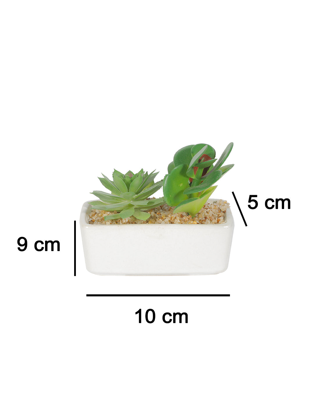 VON CASA Succulent Planters With White Flower Pot