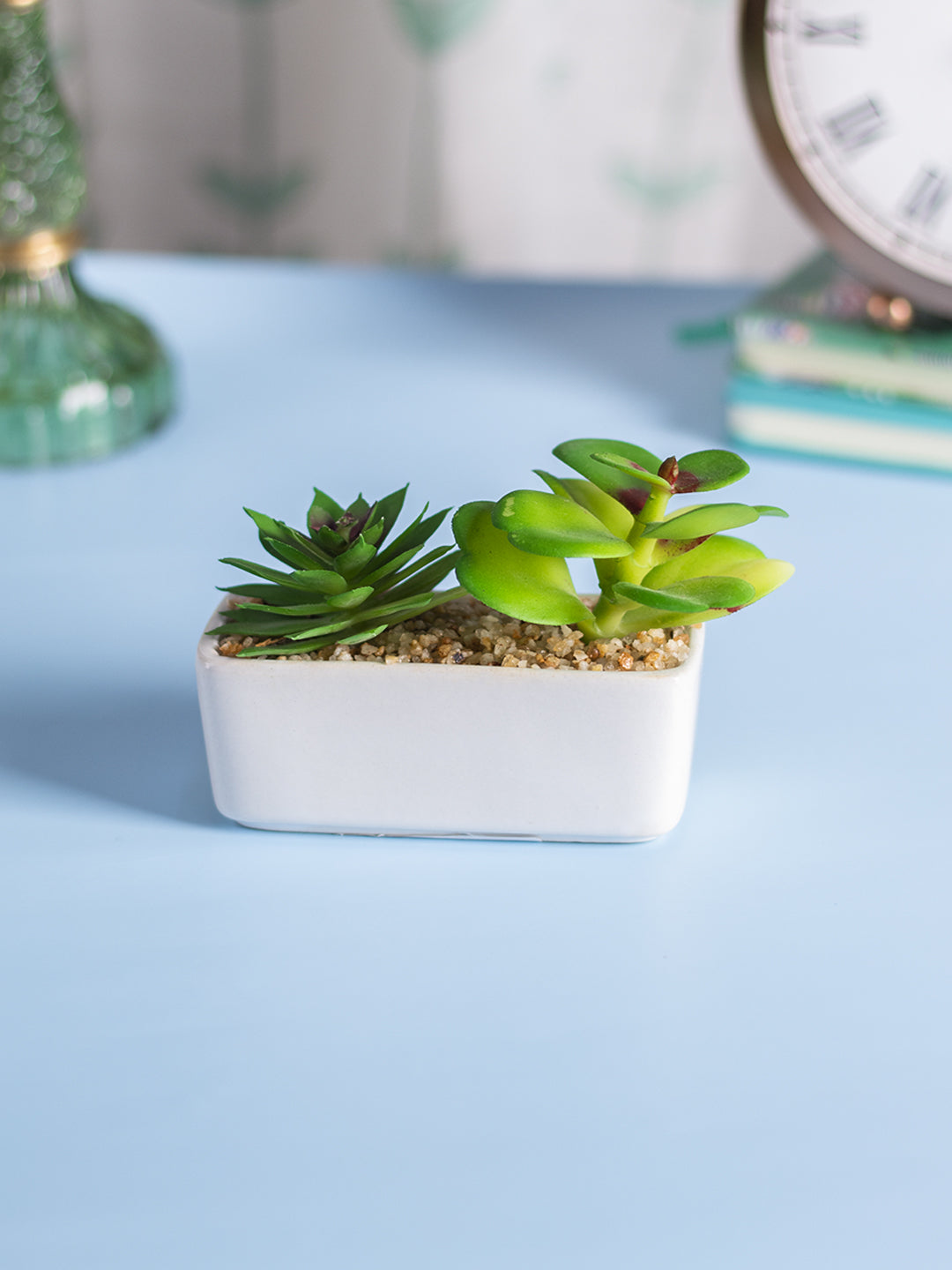 VON CASA Succulent Planters With White Flower Pot
