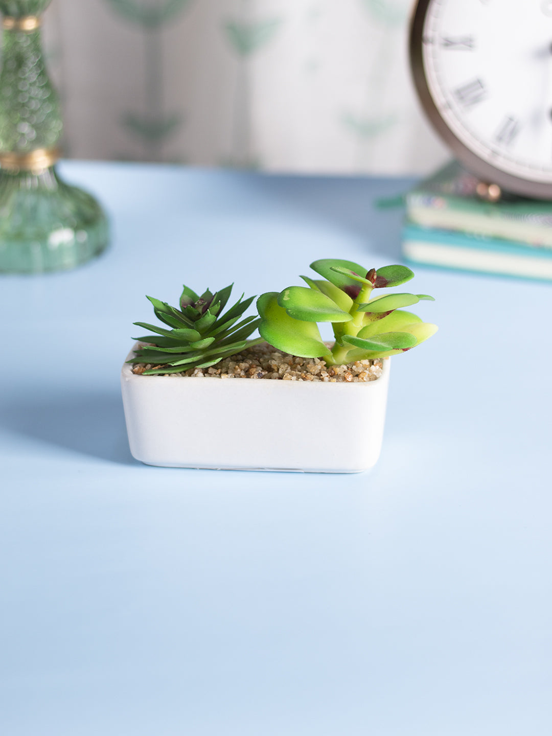 VON CASA Succulent Planters With White Flower Pot