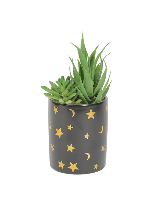 VON CASA Fake Aloevera Planter Pot - Black