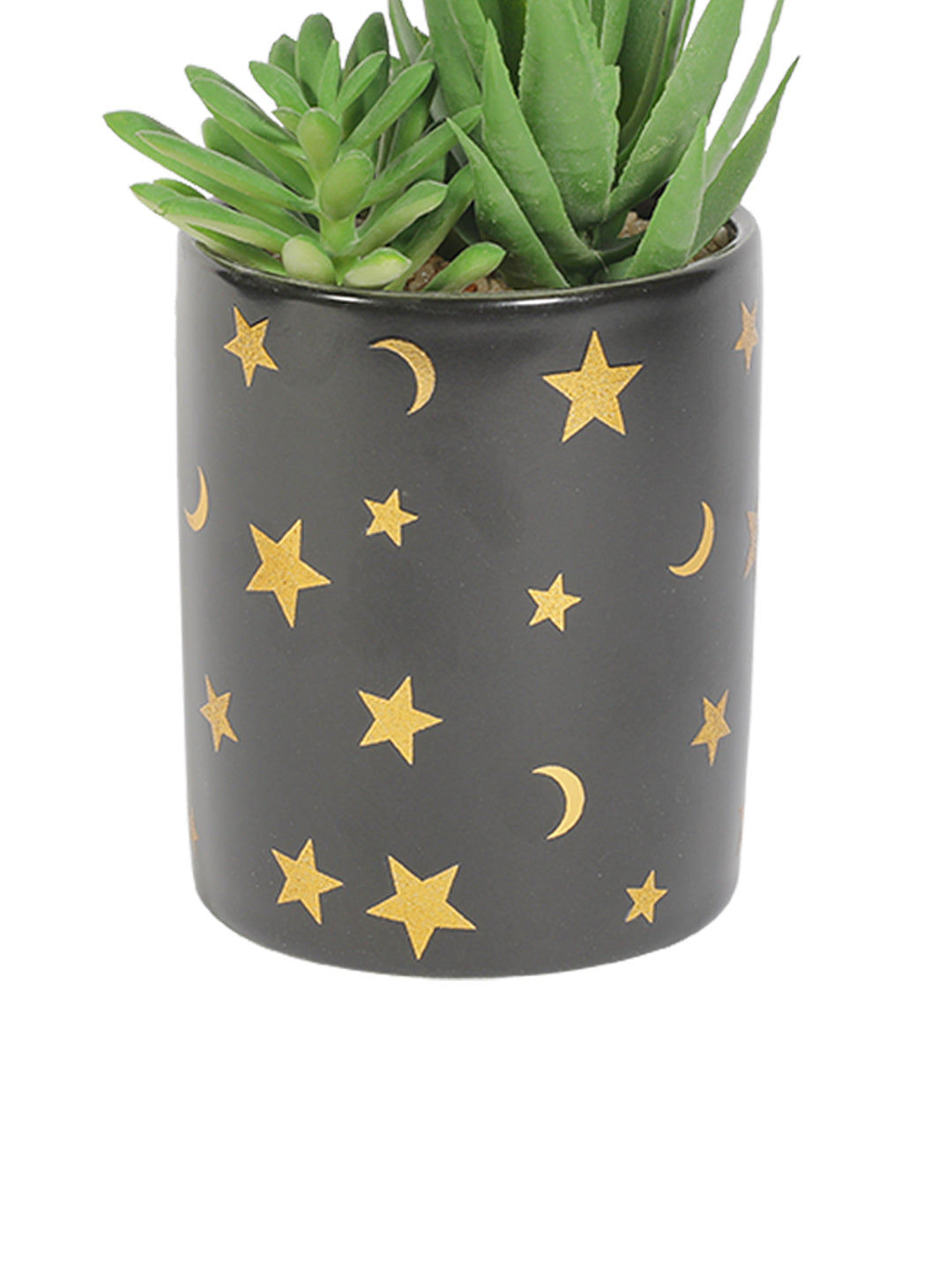 VON CASA Fake Aloevera Planter Pot - Black