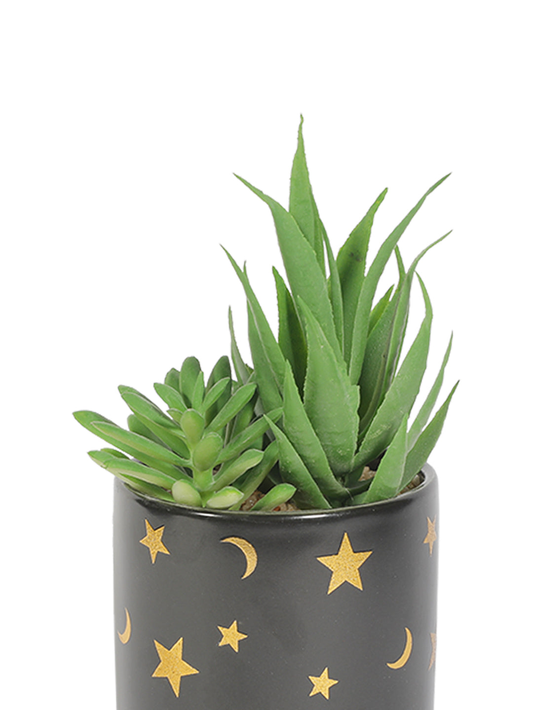 VON CASA Fake Aloevera Planter Pot - Black