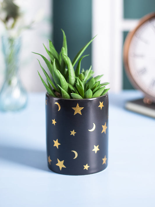 VON CASA Fake Aloevera Planter Pot - Black