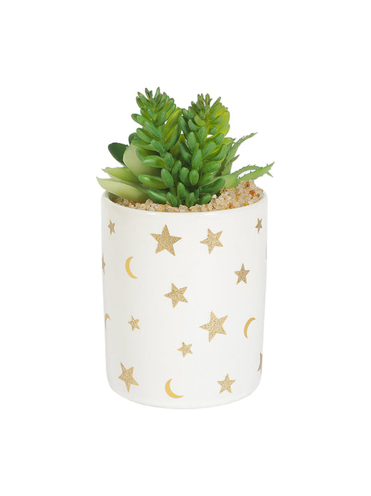 VON CASA Fake Aloevera Planter Pot - White
