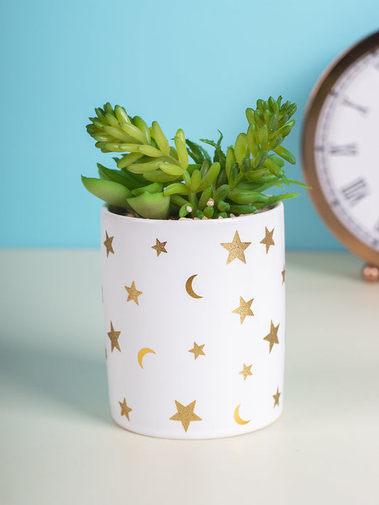 VON CASA Fake Aloevera Planter Pot - White