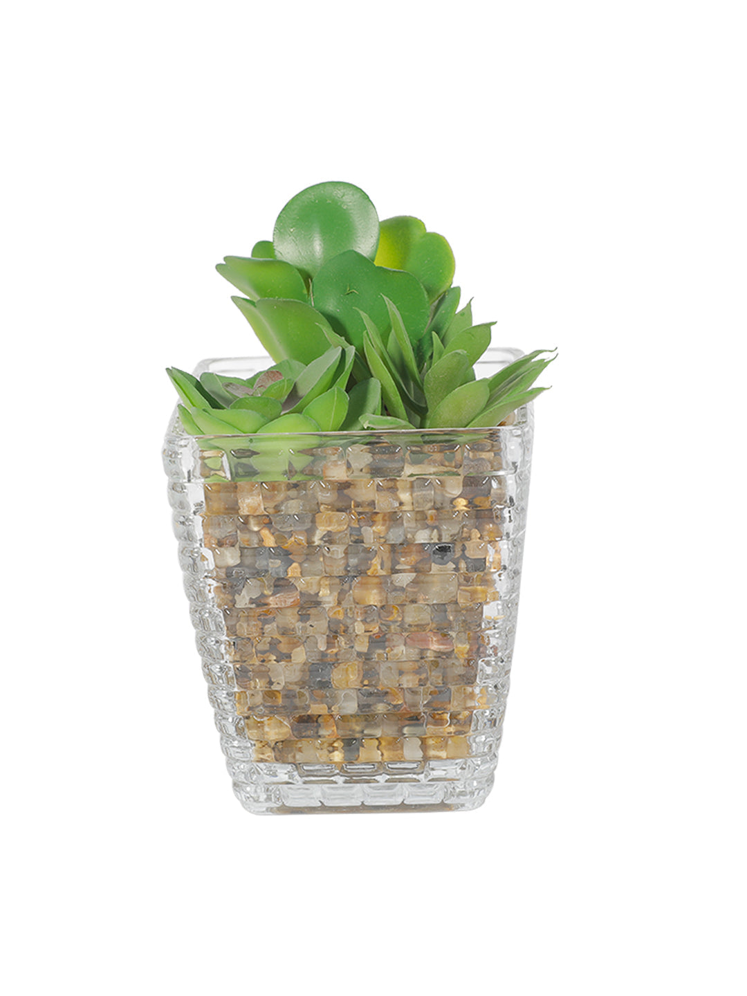 VON CASA Fake Mini Succulent Plant With Glass Pot
