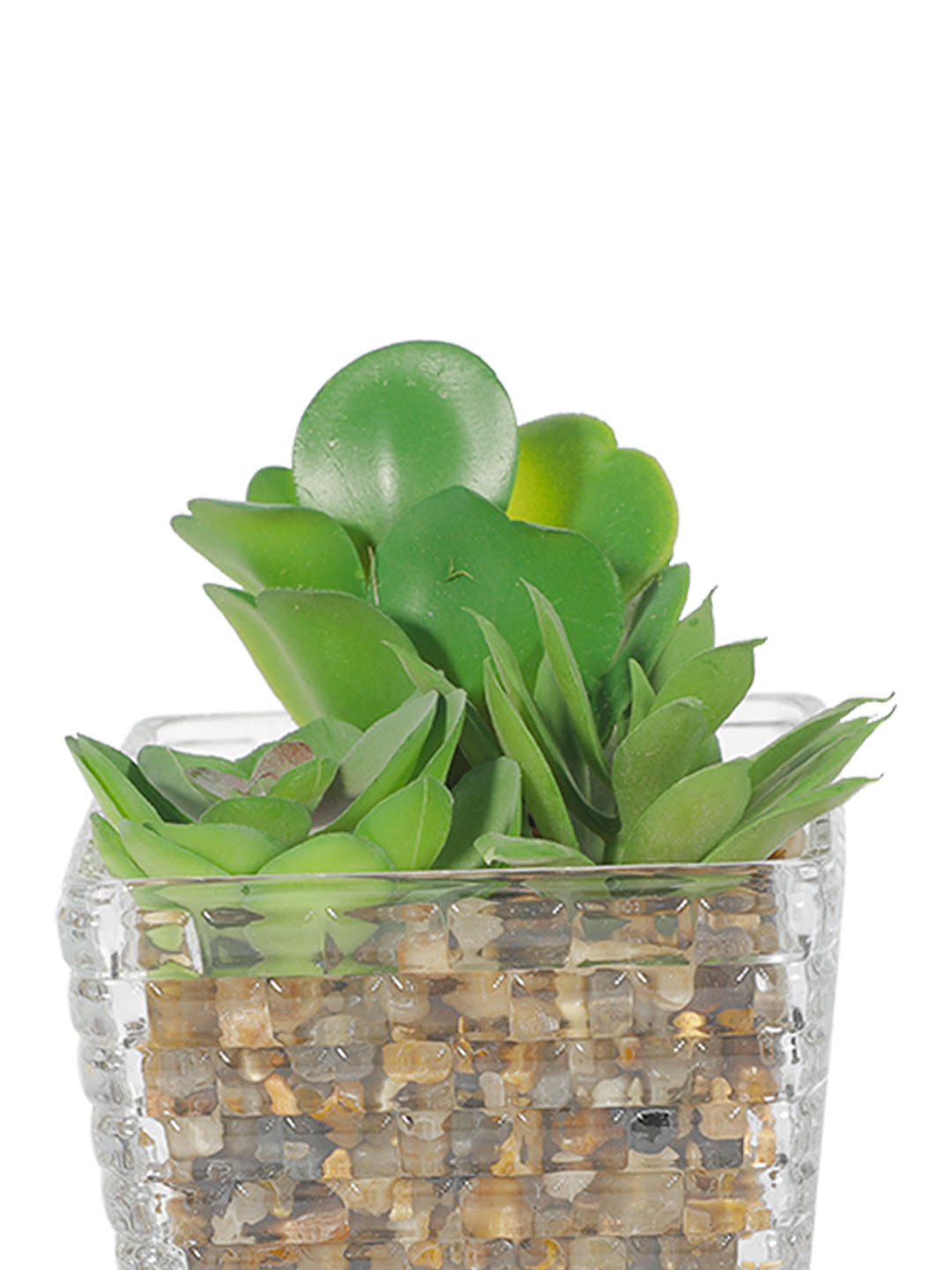 VON CASA Fake Mini Succulent Plant With Glass Pot