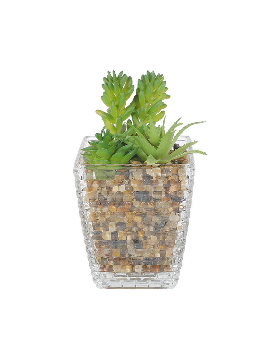 VON CASA Fake Mini Succulent Plant With Transparent Pot