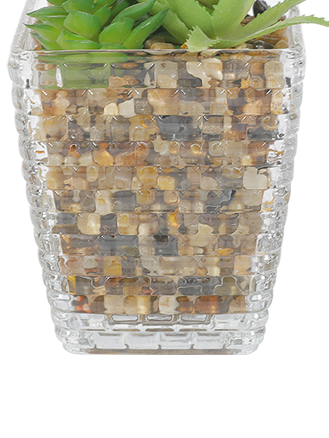 VON CASA Fake Mini Succulent Plant With Transparent Pot