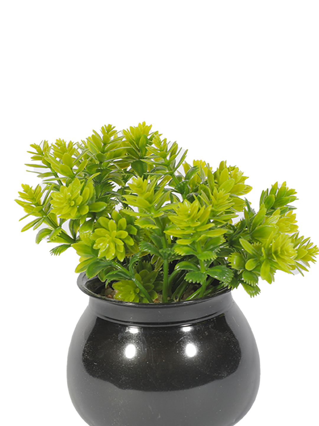 VON CASA Plastic Green Flower With Pot - Black