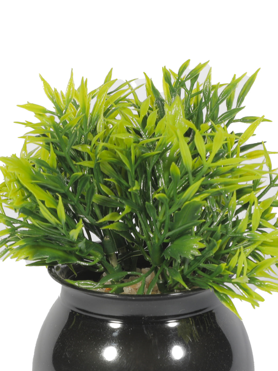 VON CASA Plastic Flower With Pot - Black