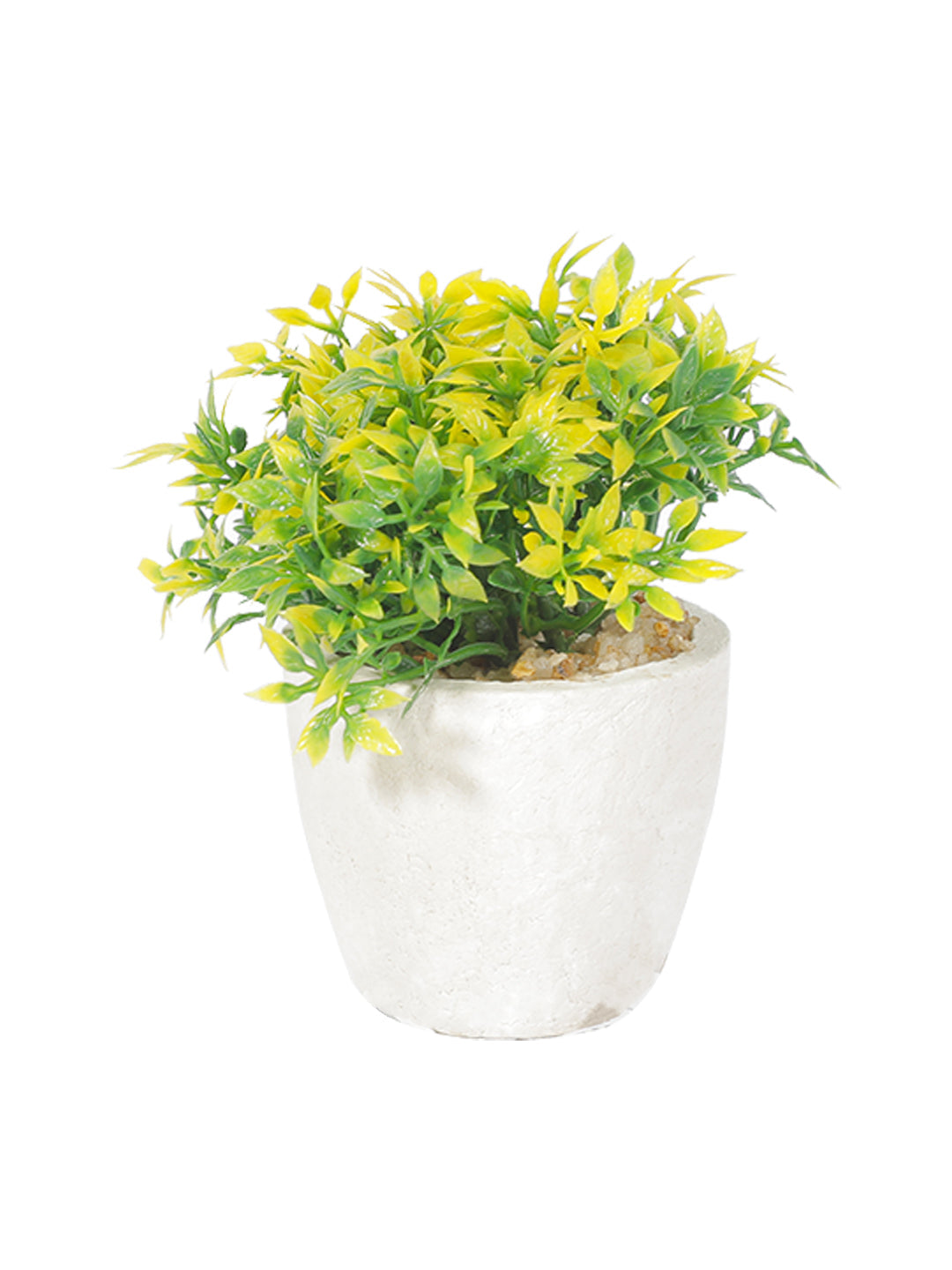 VON CASA Round Plastic small Leaf White Pot