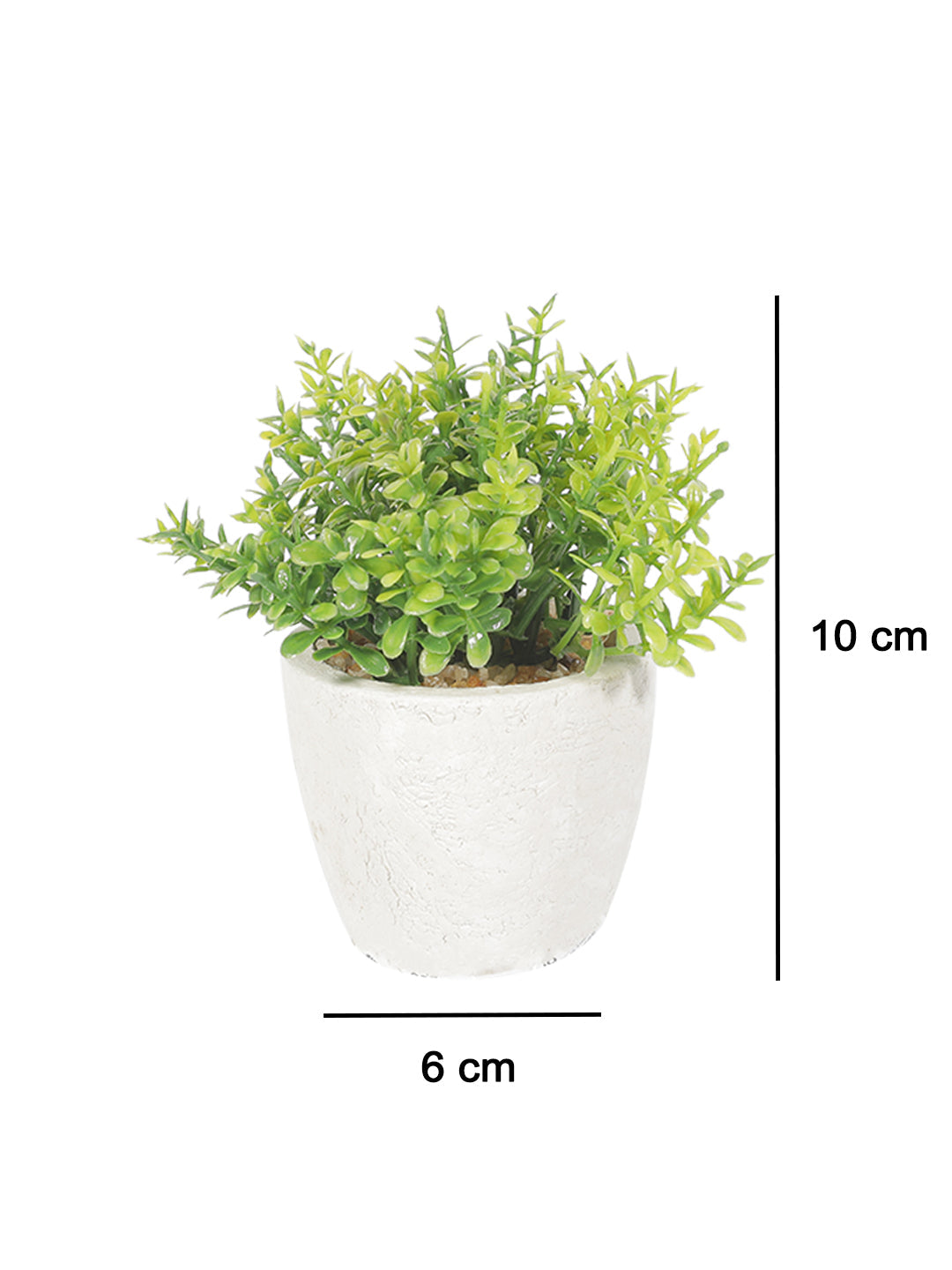 VON CASA Round Plastic small Leaf Pot