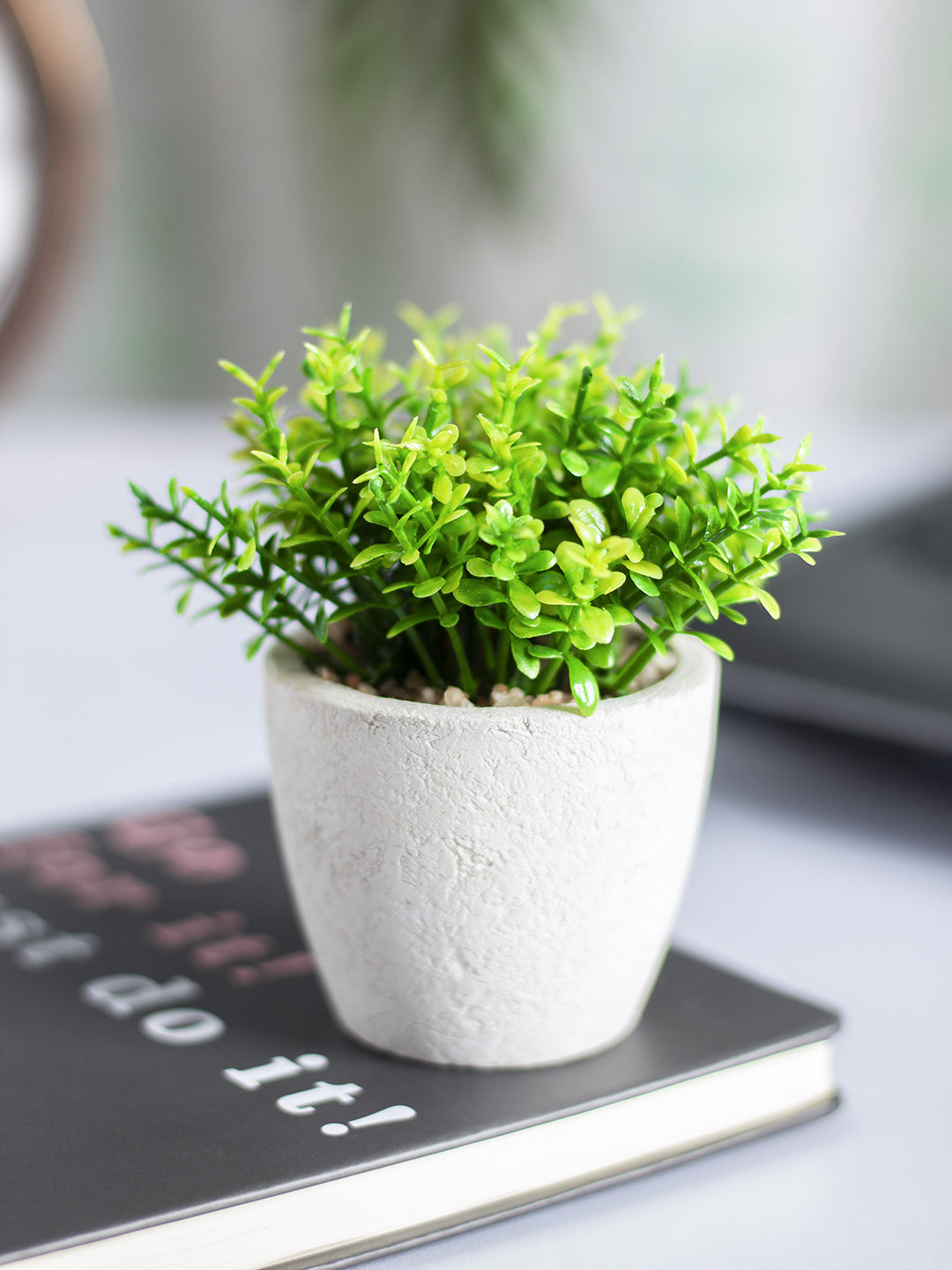 mini plant in pot VON CASA Round Plastic small Leaf Pot