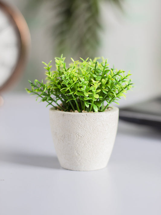 VON CASA Round Plastic small Leaf Pot