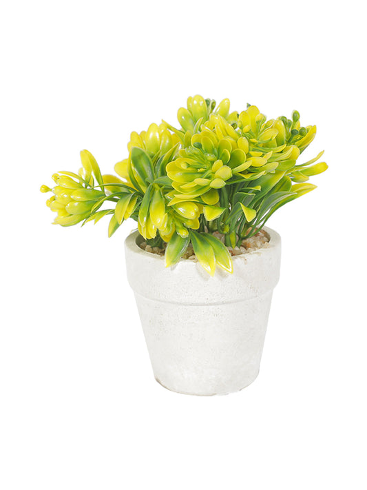 VON CASA Decor Bonsai Bush Planter Pot