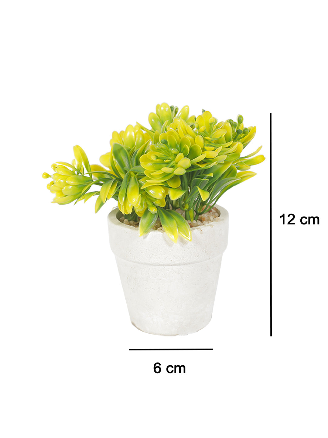 VON CASA Decor Bonsai Bush Planter Pot