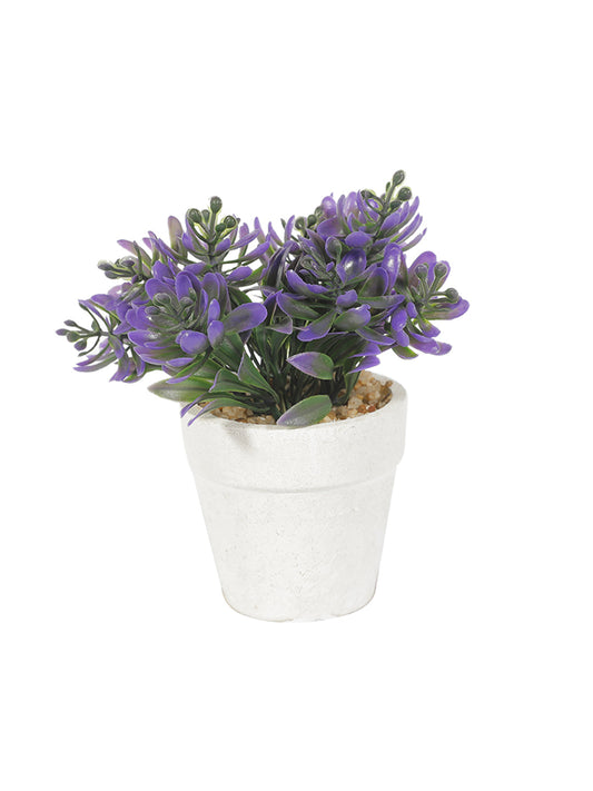 VON CASA Decor Bonsai Bush Planter Pot - White
