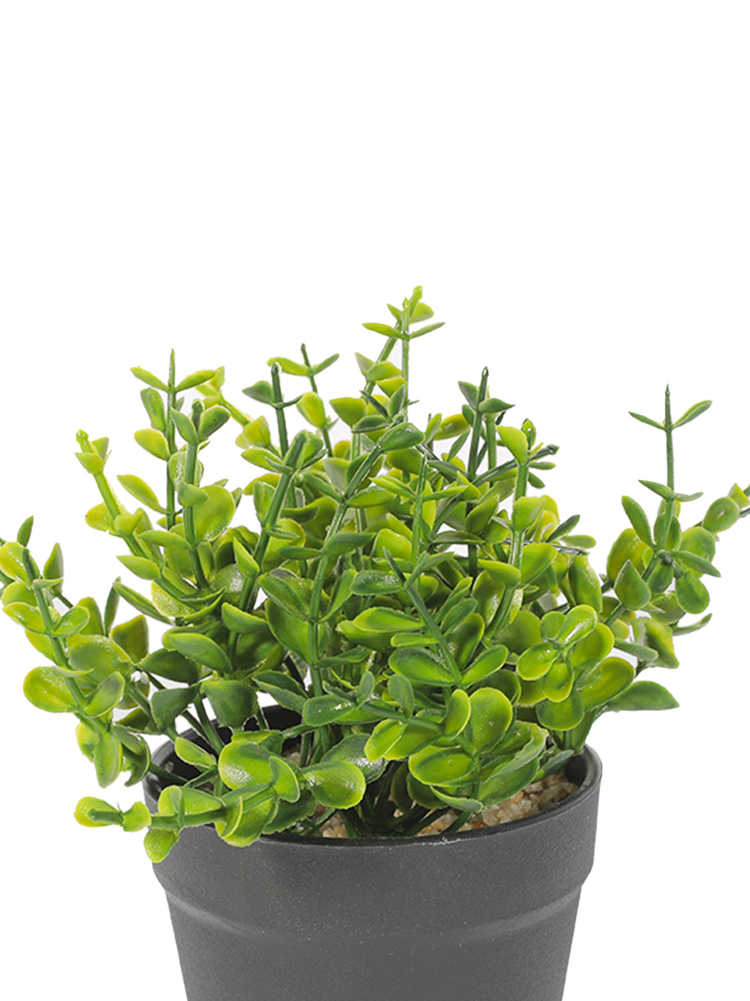 VON CASA Artificial Green Flower Potted Plant - Black Pot